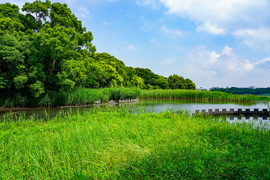 SSDM2022 Venue : Photo registered in Ramsar Convention